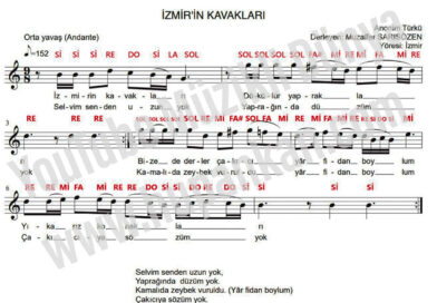 İzmir’in Kavakları 2023-2024 Yeni Melodika Notaları Çalma ve Söyleme Videoları 8.sınıf Müzik kitabı Sayfa 17