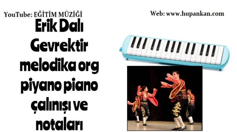 Erik Dalı Gevrektir #melodika #org #piyano #piano çalınışı ve notaları