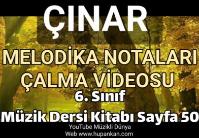 Çınar Melodika Notaları ve Çalma Videosu 6. Sınıf Müzik Dersi Kitabı Sayfa 50